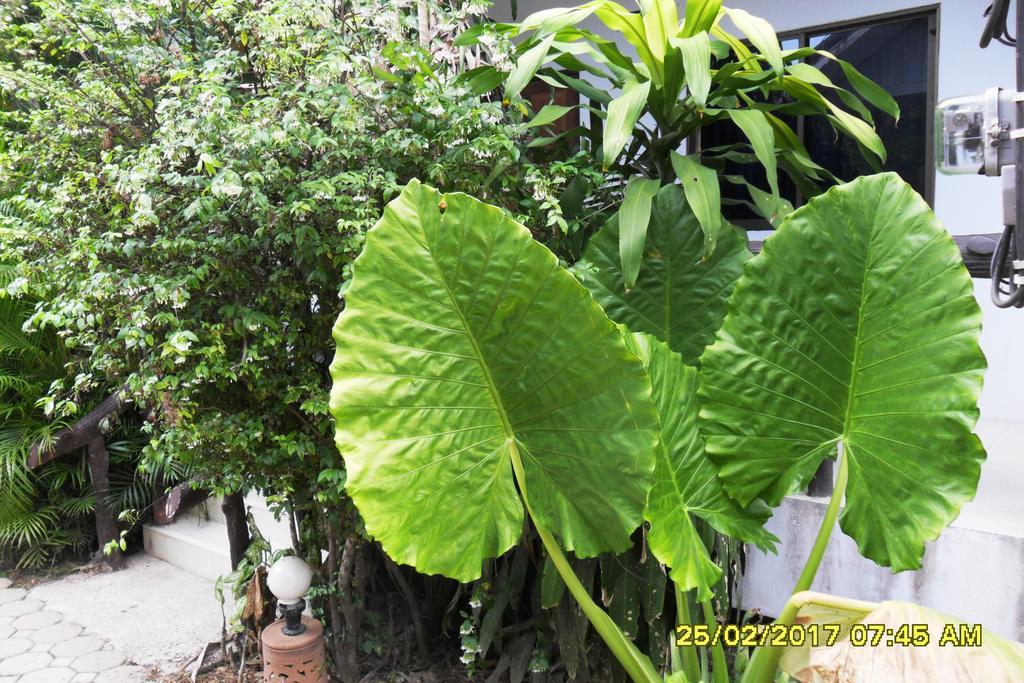Ao Nang Aonang Sr Bungalows מראה חיצוני תמונה