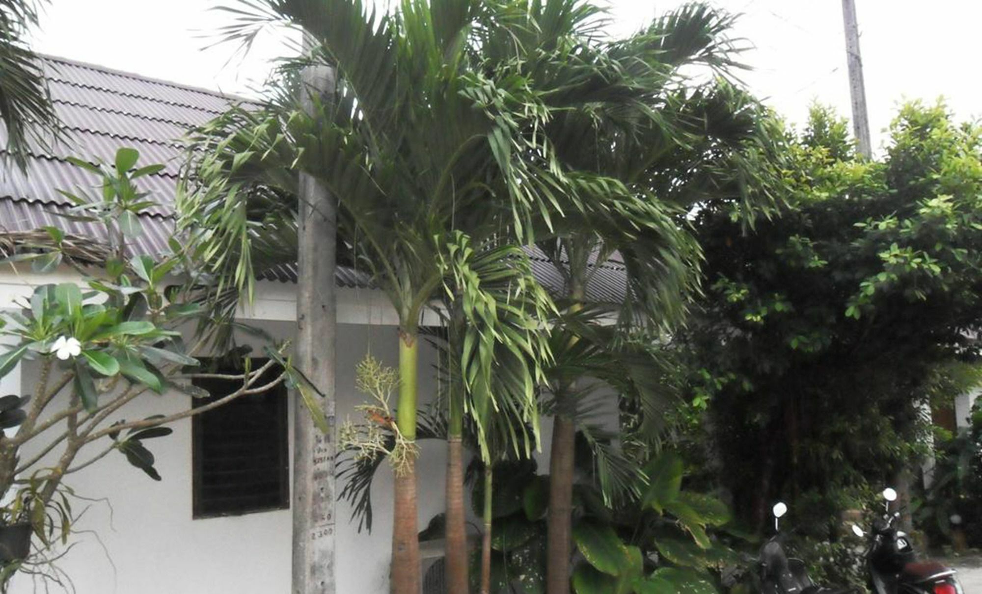 Ao Nang Aonang Sr Bungalows מראה חיצוני תמונה